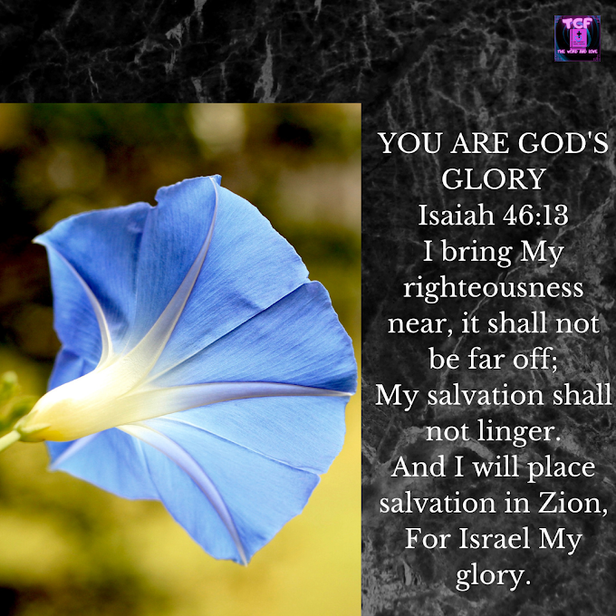 DAILY DEVOTIONAL: YOU ARE GOD'S GLORY