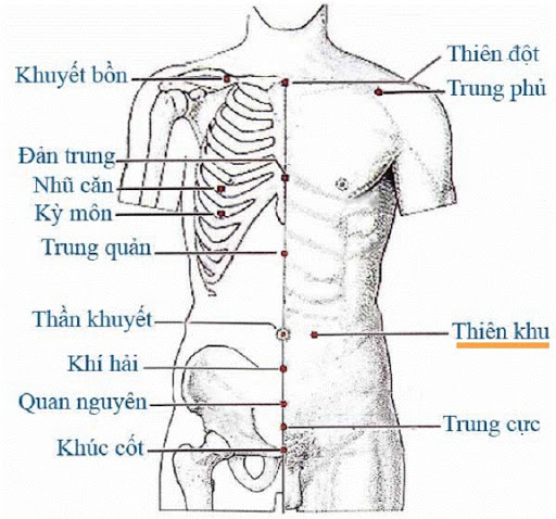 Vị trí huyệt thiên xu
