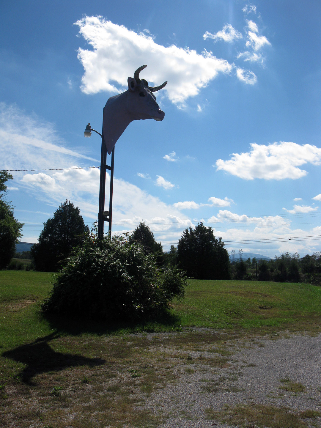 Eccentric Roadside Udder delight The Purple Cow of Dooms, Virginia