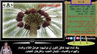 صورة شرح درس فالق الحب والنوى - قراءة الصف الثالث الإعدادي الفصل الدراسي الثاني