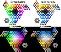 Renk körlüğünde renklerin nasıl göründüğü