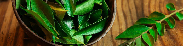 Curry leaves | Natural Remedies For Premature Gray Hair | NeoStopZone