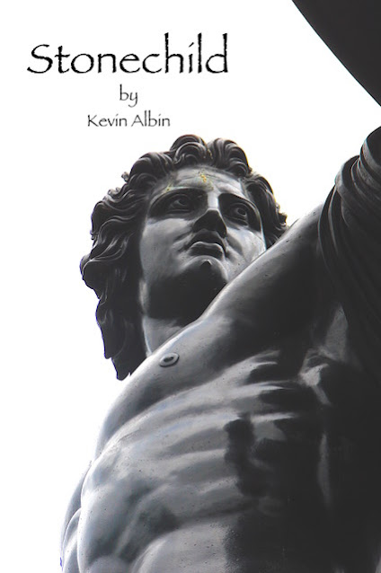 French Village Diaries book review Stonechild by Kevin Albin