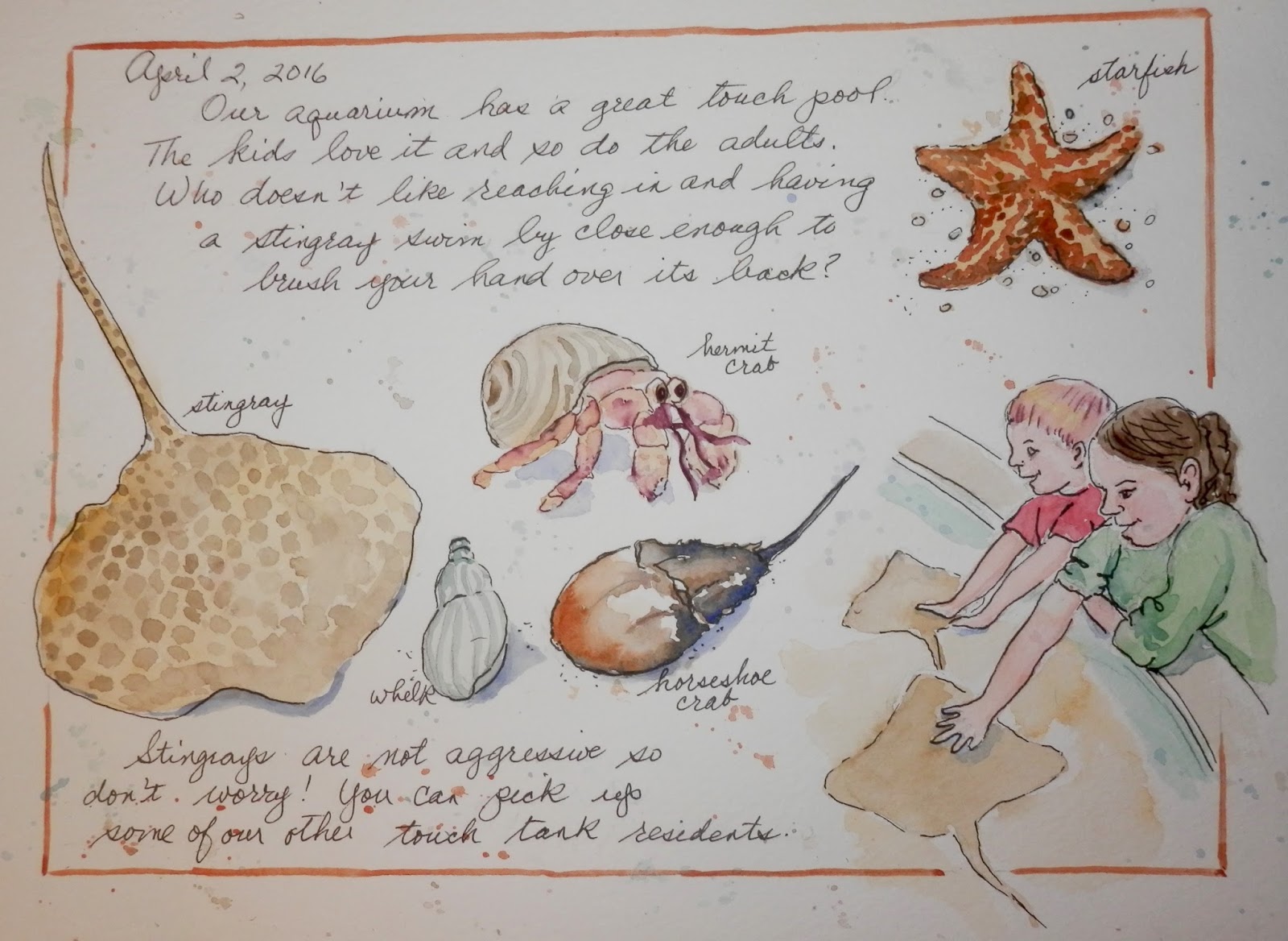 Alicia's Aquarium Journal Alicia's Aquarium Journal April 2