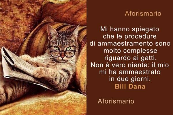 Aforismario Aforismi Frasi E Proverbi Sul Gatto
