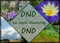 https://kreativ-im-rentnerdasein.blogspot.com/2020/09/der-natur-donnerstag.html