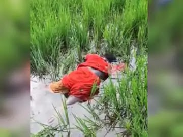 जांजगीर जिले मे हुई दो सगी बहनों की हत्या: खेत में काम करते समय पानी में डुबोकर मारा, दोनों की एक ही युवक से हुई थी शादी