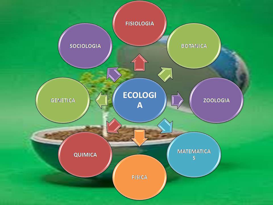 Ecologia y medio ambiente Ciencias Que se Relacionan con la Ecología