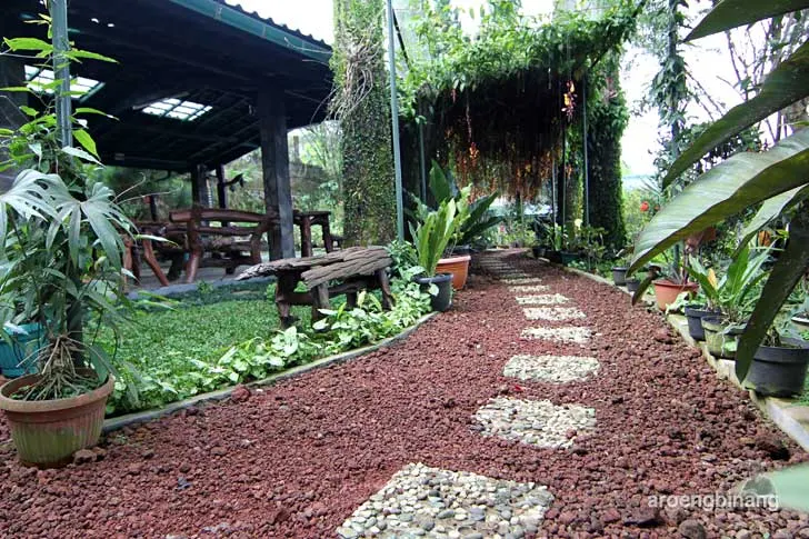 villa la lita gunung bunder