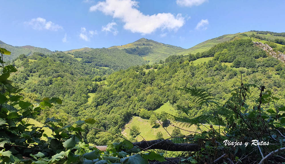 Foces de El Pino, Asturias