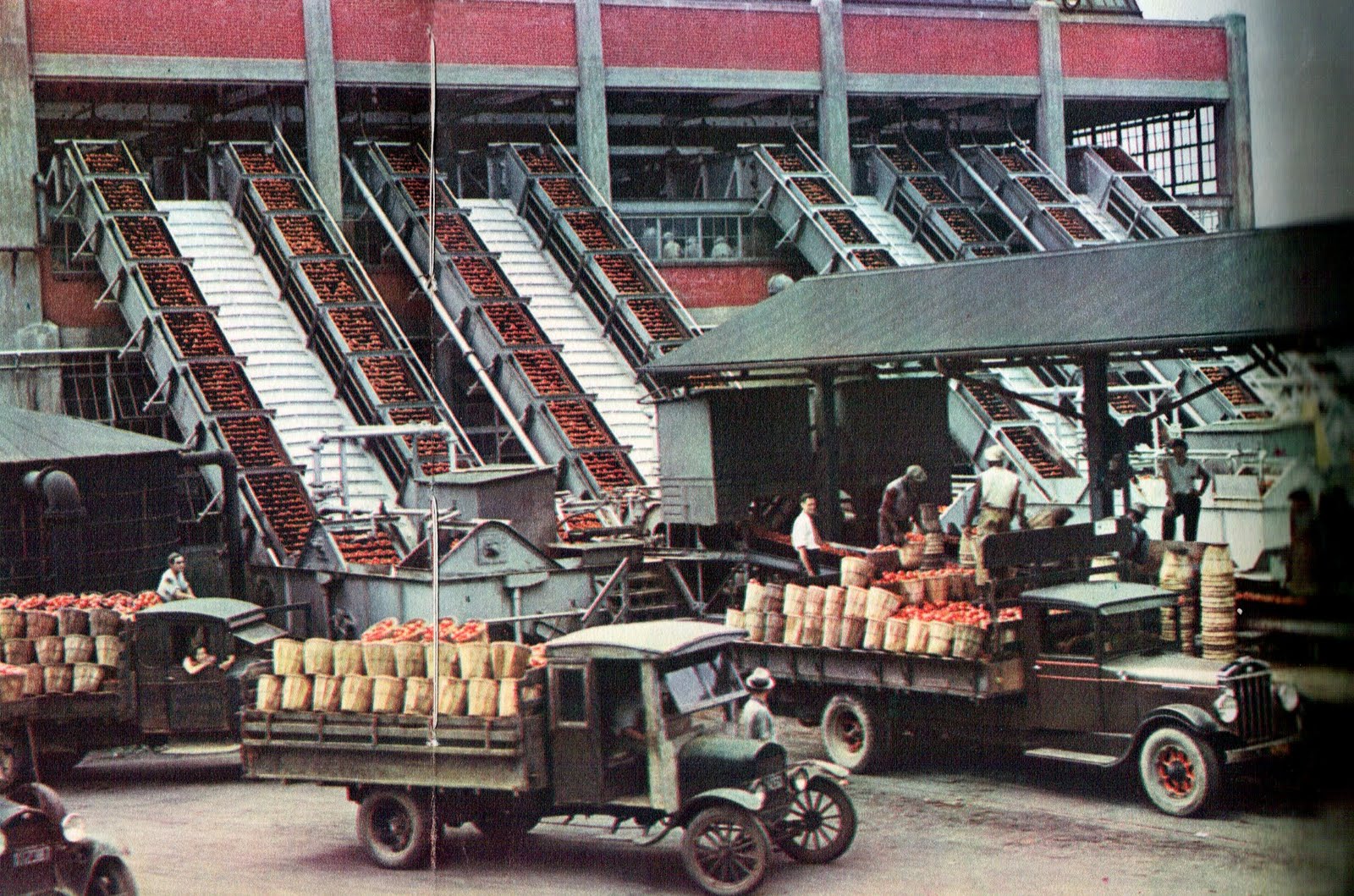 History in the Raw (The bare facts of history that you don't get to read very often) Campbell