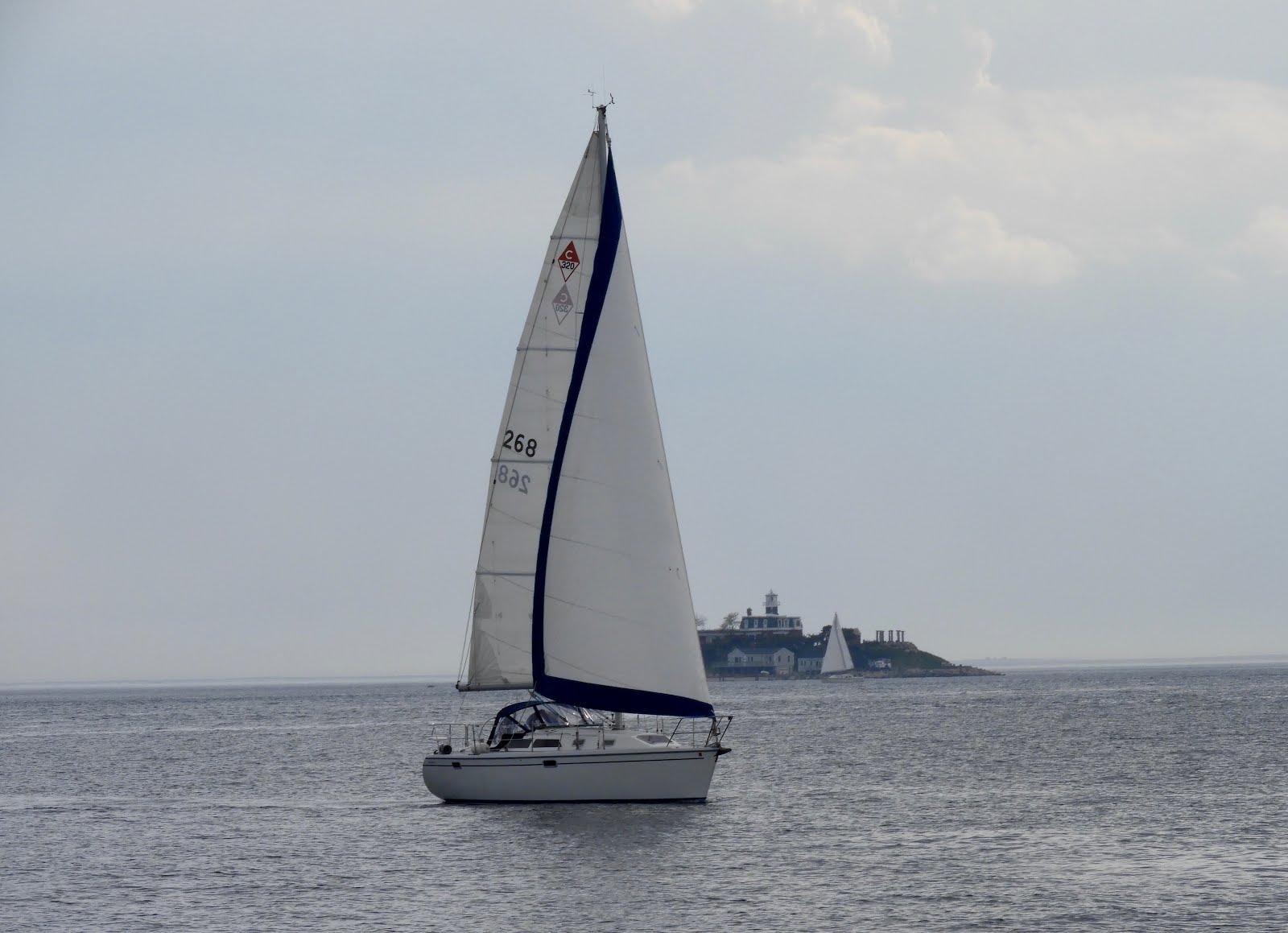 It's All About Purple Sail Away Argia