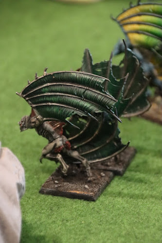 [Image: IMG_6245.JPG]