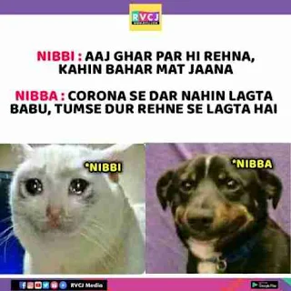 Nibba Nibbi Meaning in Hindi