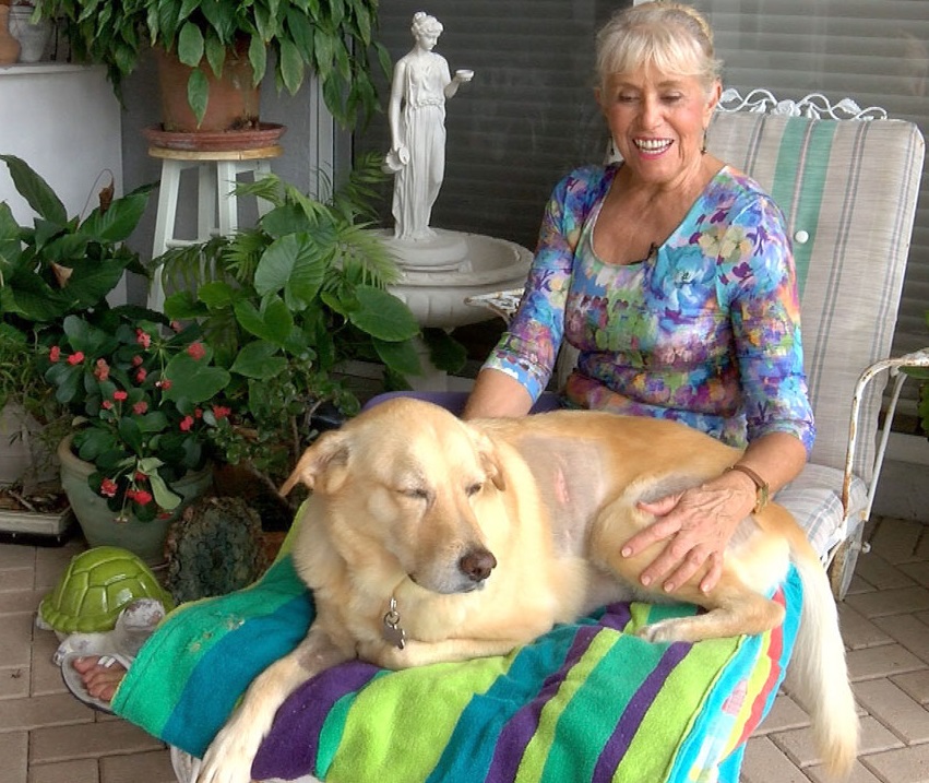 74yearold Florida woman fights off alligator, gets bitten to save dog