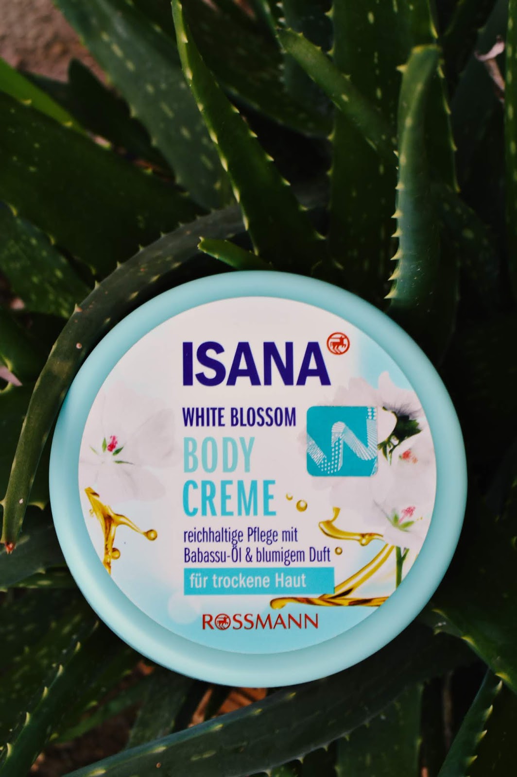 The best body cream to use in Nigeria during the rainy season. ISANA White Blossom Bodycreme