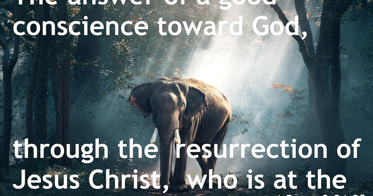 1 Peter 3 21 22 1-peter-3-21-22