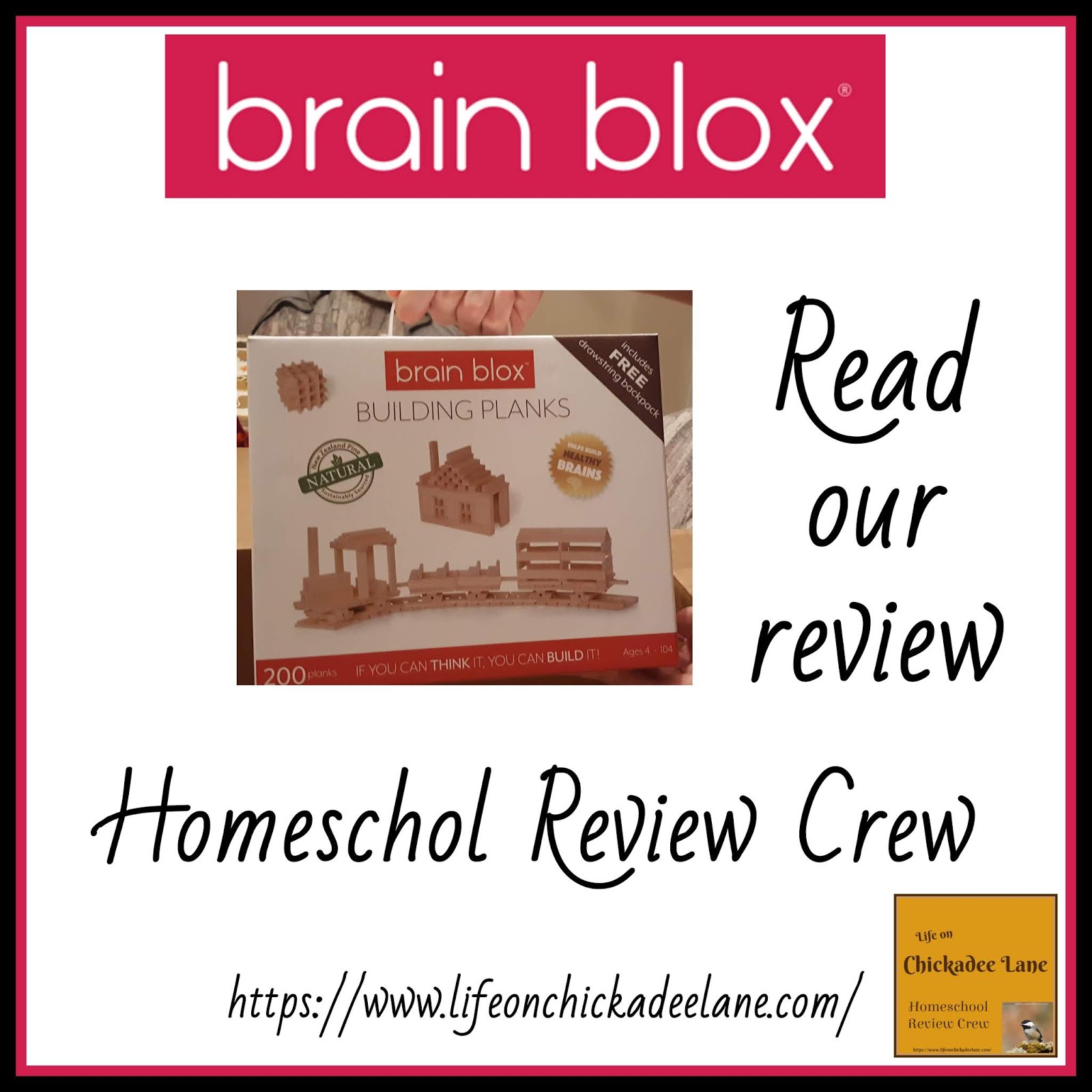 Fun Family Chess (Homeschool Crew Review) - Mom's Plans