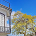 uma relíquia acima do Livramento