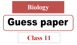 1st year biology guess paper 2024 pdf download