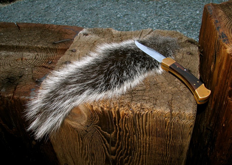 How To: Drying Out A Squirrel Tail, the Quick and Dirty Way