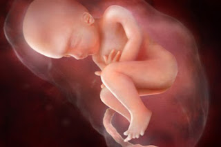 تفسير حلم تحرك الجنين في البطن