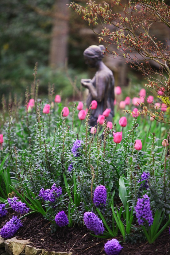 Flores de Jardín: Decorar el Jardín con mucho estilo : Jardín y Terrazas