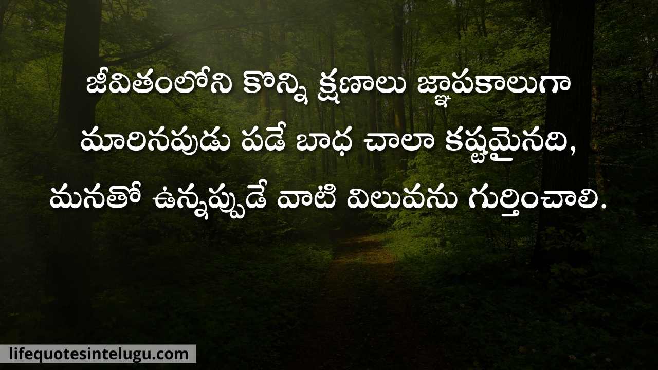 Value Quotes In Telugu