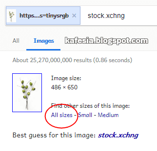 3 Cara Mencari Foto Yang Sama/Mirip di Google