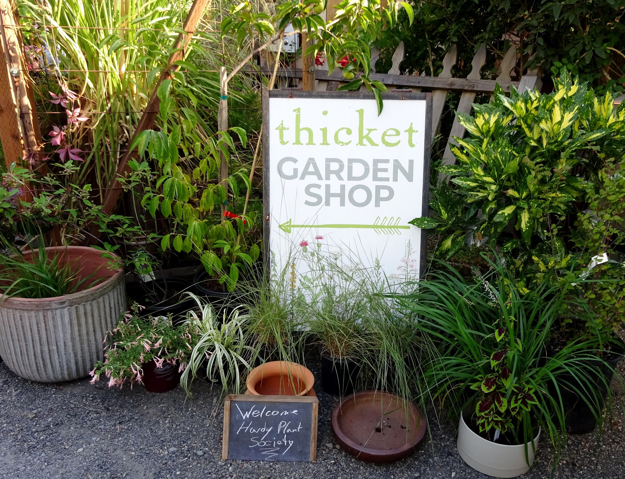 danger garden A special evening at Thicket