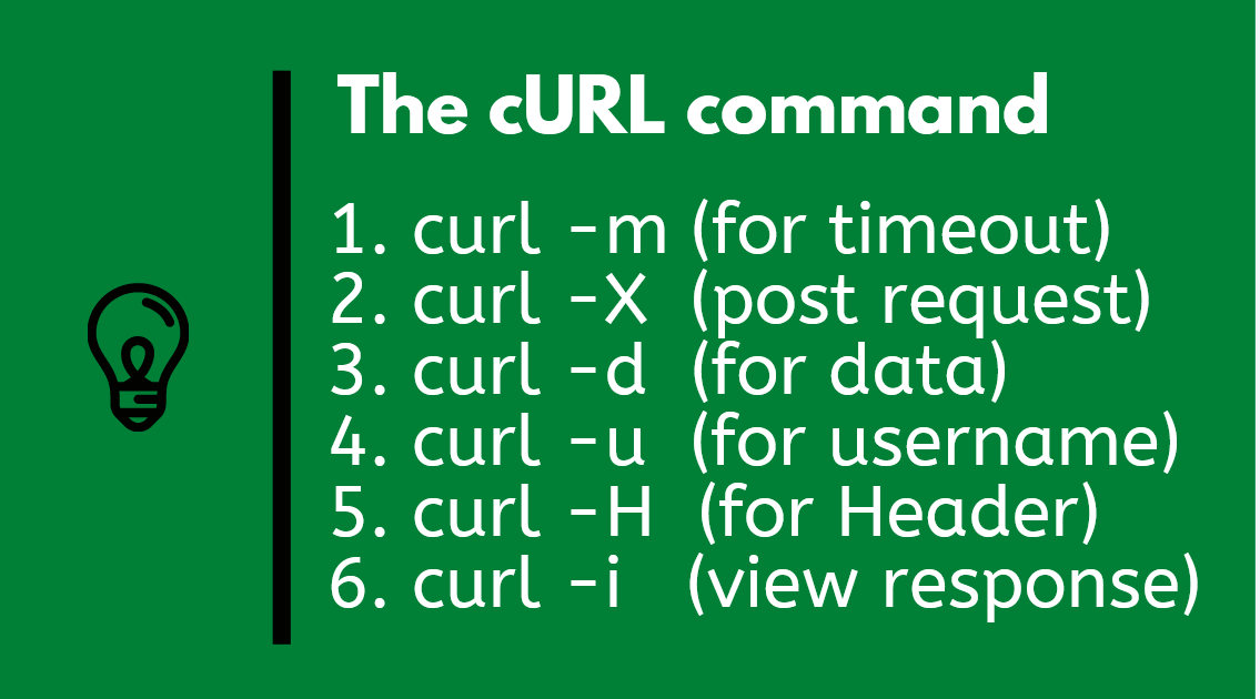 Top 5 Tools for Testing REST APIs and RESTful  Services in 2024