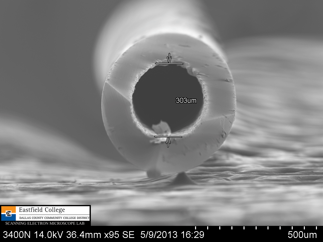Scanning Electron Microscope Blog How Sharp is a Hypodermic Needle?