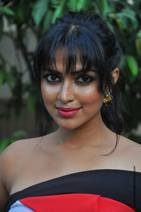 Amala Paul at Dongodochadu Press Meet