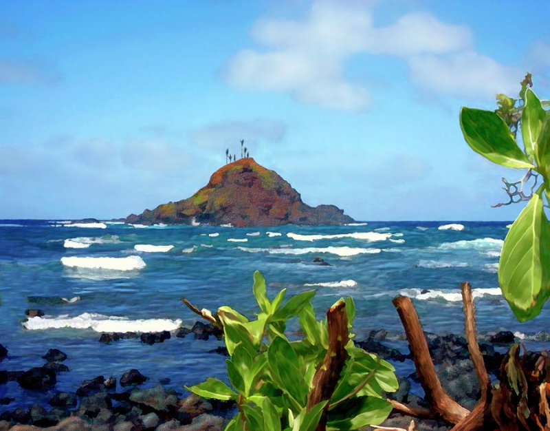 Mauithe secondlargest of the Hawaiian Islands THINGS TO ADMIRE