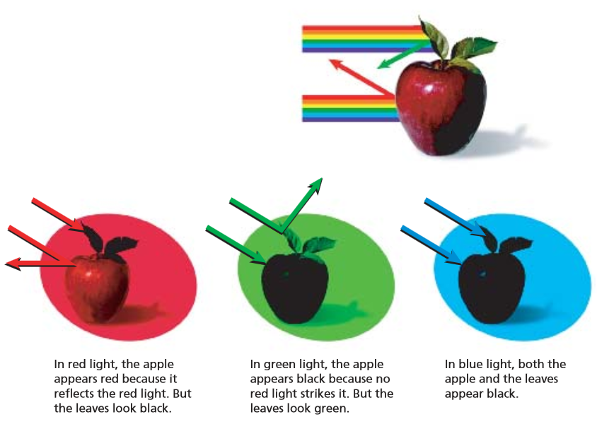 How can we see color?