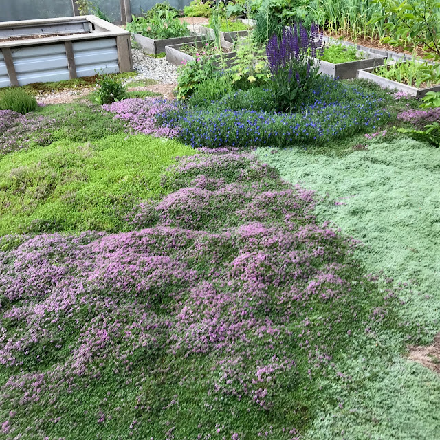 No Grass to Cut Backyard Landscape