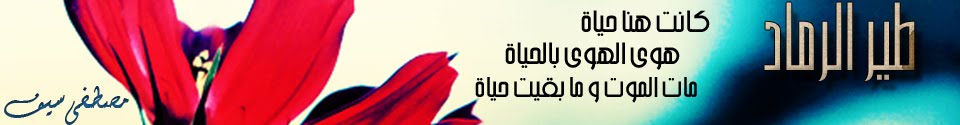 طــــير الرمــــاد