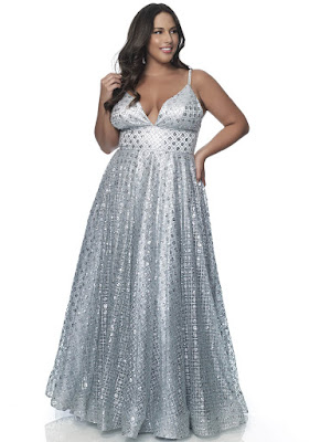 A-line Blush Prom Plus Size Silver Shadow Color Dress