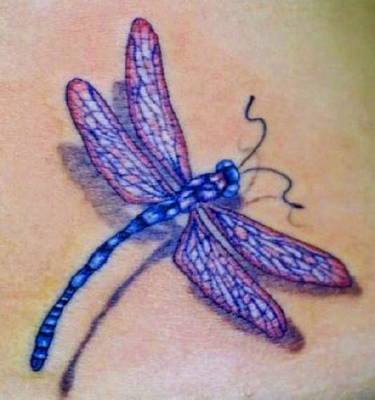 Dragonfly Tattoos and Designs : Page 62