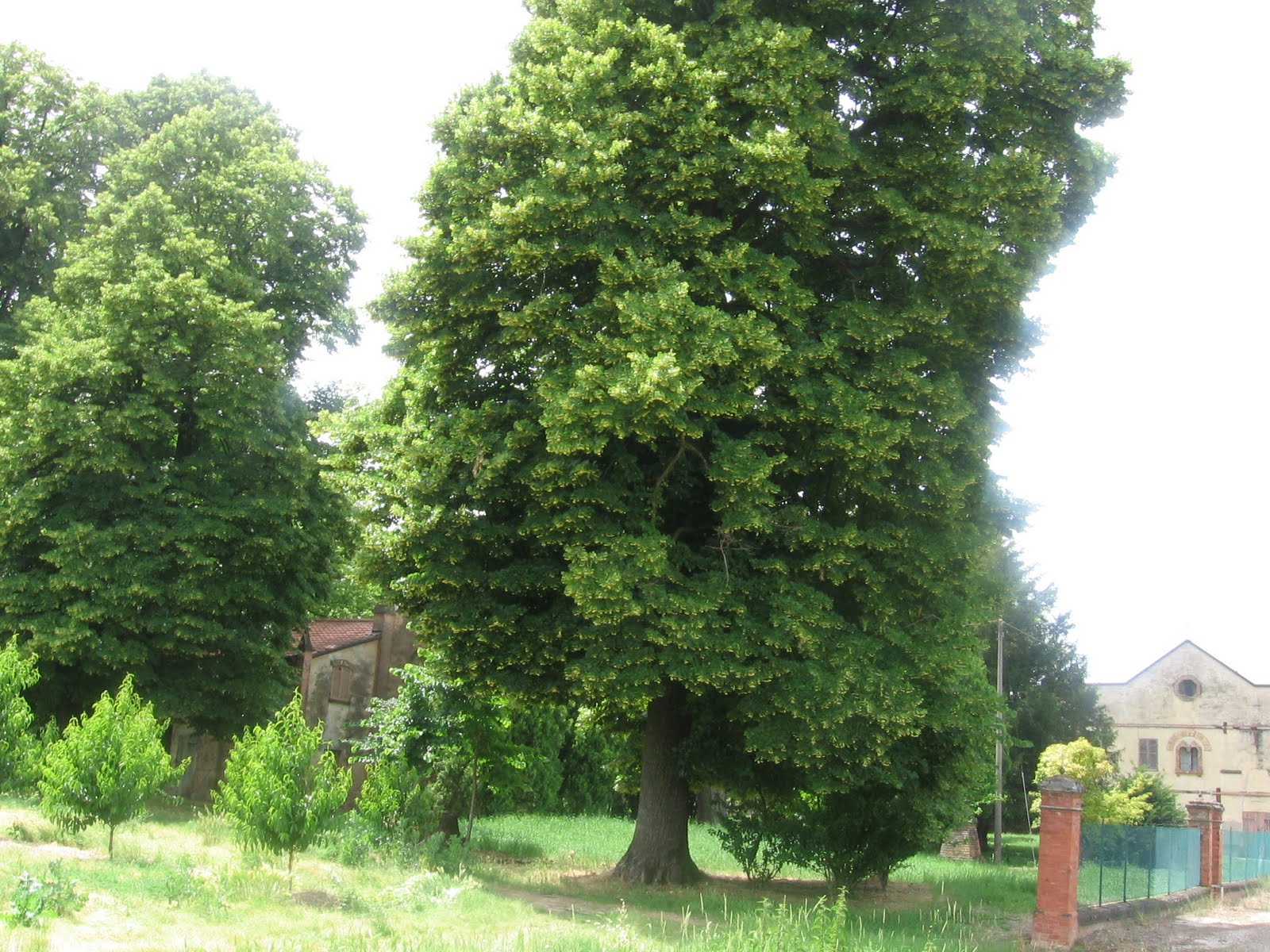 tutto-cominci-maggio-2013