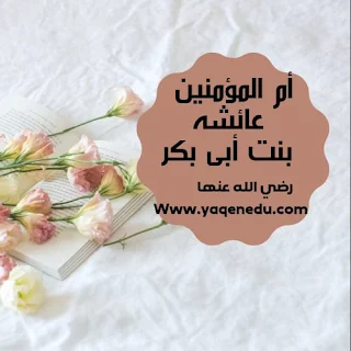 صورة توضيحية