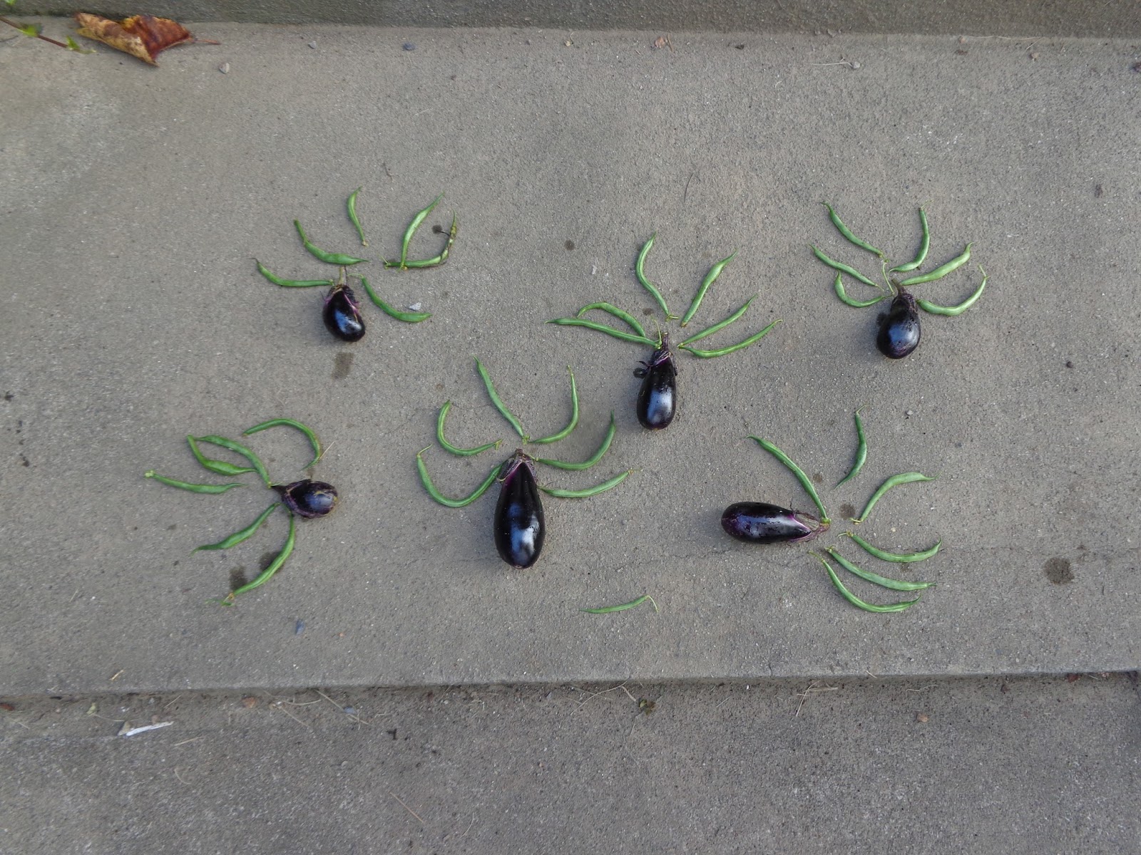 Hero爺 ブログ Today's Harvest ( Eggplant 54, Kidney Bean 19 )