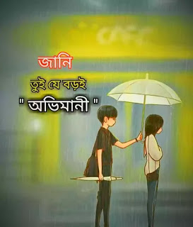 250+ Best Love Quotes In Bengali (বাংলা ভালোবাসার কোটস) 