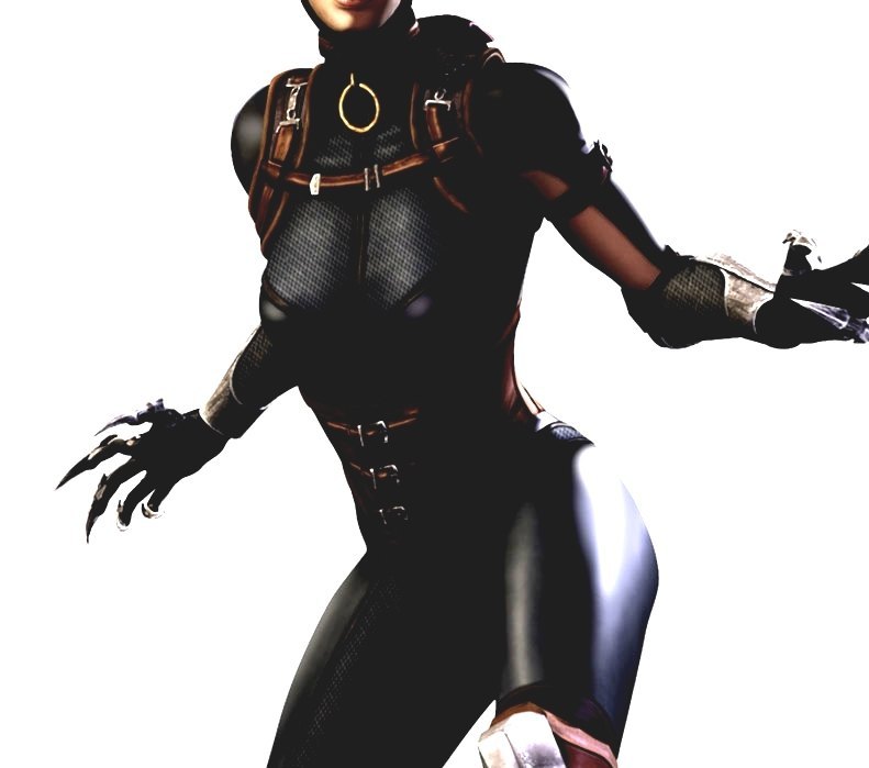 Catwoman (video Game) Cat Woman Games