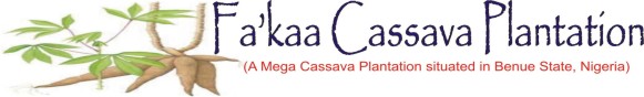 Fa'kaa Cassava Plantation