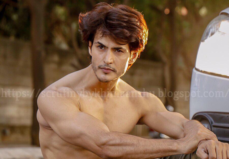 Scrutiny: 'Jodha Akbar' fame Ravi Bhatia to do a music video