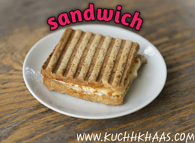 पनीर टिक्का और ग्रिल्ड  सैंडविच रेसिपी हिंदी में||Paneer Tikka and Grilled Sandwich Recipe description in Hindi