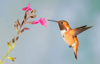 Download free wallpaper Download free wallpaper