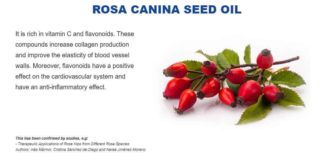 Rosa Canina Seed Oil