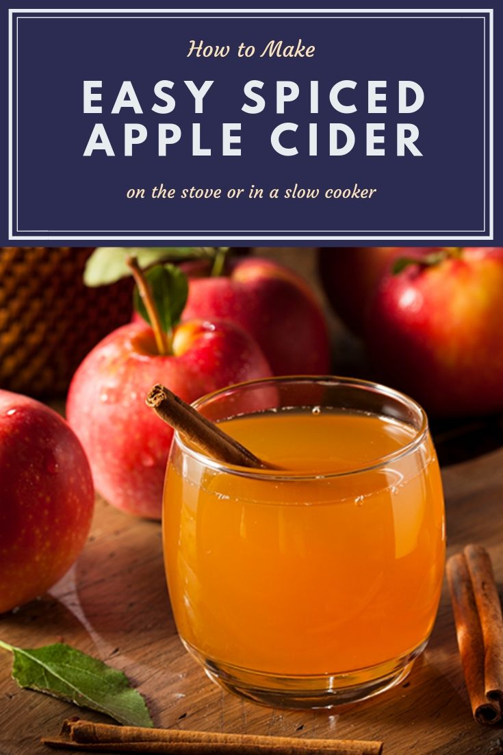 Easy Hot Apple Cider Recipe Crock Pot or Stove Koti Beth